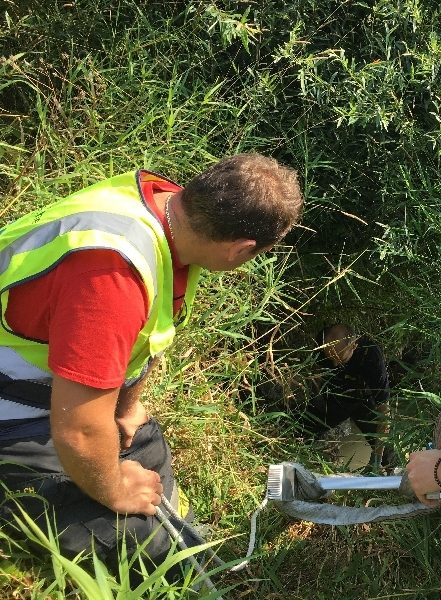 Tierrettung – 2 Hunde gerettet (Bild 1)